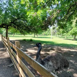 Kragujevac Zoo - Kragujevac