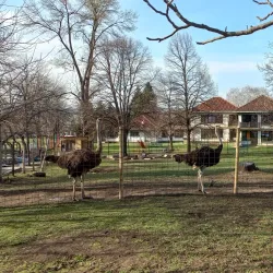 Kragujevac Zoo - Kragujevac