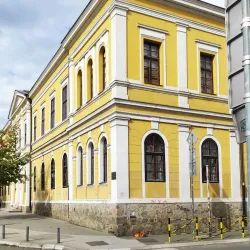 Kraljevo City Museum - Kraljevo