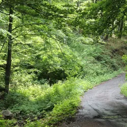 Jastrebac Mountain - Krusevac