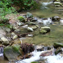 Jastrebac Mountain - Krusevac