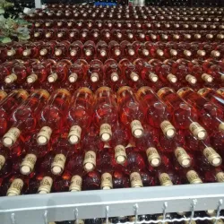 Trstenik Wine Region - Krusevac