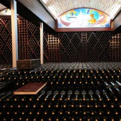 Trstenik Wine Region - Krusevac