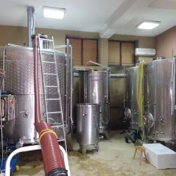 Trstenik Wine Region - Krusevac