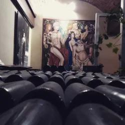 Trstenik Wine Region - Krusevac