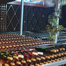 Trstenik Wine Region - Krusevac