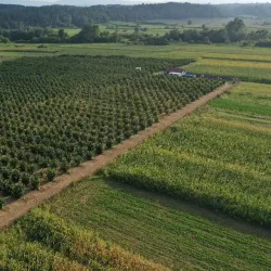Agricultural Farms and Vineyards - Lajkovac