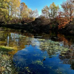 Kolubara River - Lajkovac