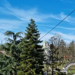 Local Traditional Market - Lajkovac