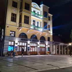 Leskovac City Hall - Leskovac