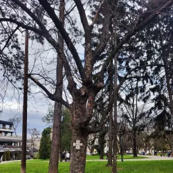 Leskovac City Park - Leskovac