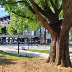 Leskovac City Park - Leskovac