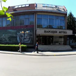 Leskovac National Museum - Leskovac