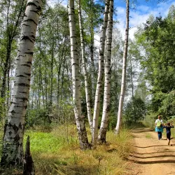 Vlasina Lake - Leskovac