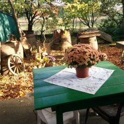 Rajac Wine Cellars - Negotin