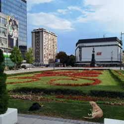 King Milan Square - Nis