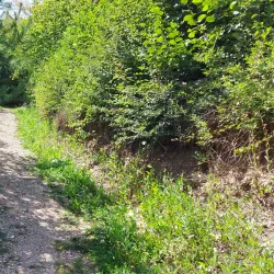 Raška Fortress - Novi Pazar