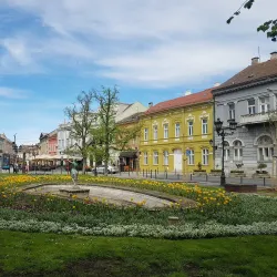 Danube Park - Novi Sad