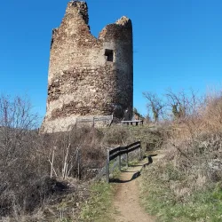 Fruška Gora National Park - Novi Sad