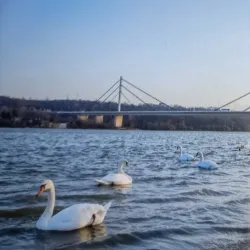 Strand Beach - Novi Sad