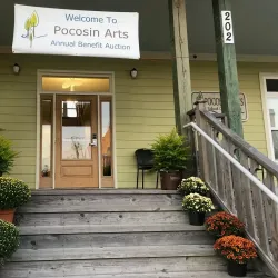 Local Artisan Workshops - Paracin