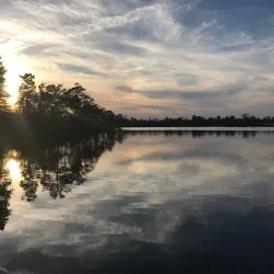 Local Artisan Workshops - Paracin