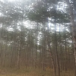 Monument to the Fallen Soldiers - Paracin