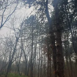 Monument to the Fallen Soldiers - Paracin