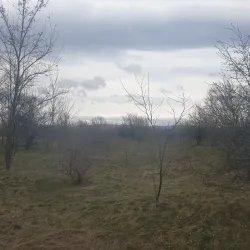 Monument to the Fallen Soldiers - Paracin