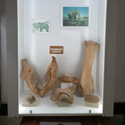 Paraćin Museum - Paracin