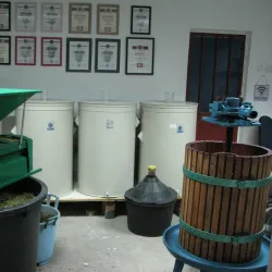 Local Wine Cellars - Prokuplje