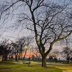 Sava River Park - Ruma