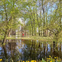 Sava River Park - Ruma