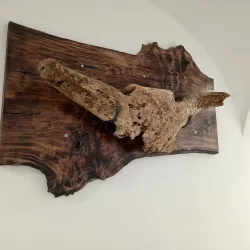 Vojvodina Agricultural Museum - Ruma