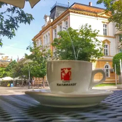 Sabac City Hall - Sabac