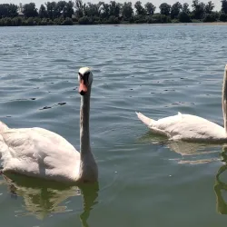 Sava River Promenade - Sabac