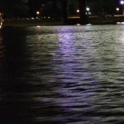 Danube River Promenade - Sid