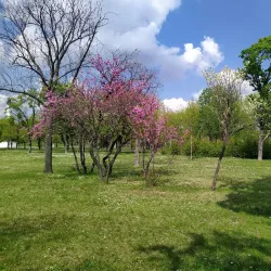 Park of Friendship - Sid