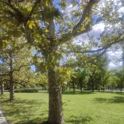 Park of Friendship - Sid