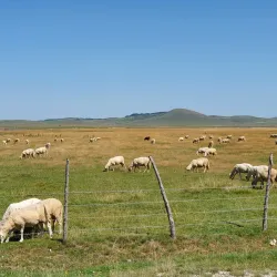 Pešter Plateau - Sjenica