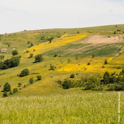 Pešter Plateau - Sjenica