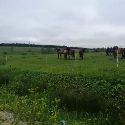Pešter Plateau - Sjenica