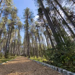 Sjenica Town Park - Sjenica