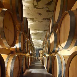 Local Winery Tours - Smederevska Palanka