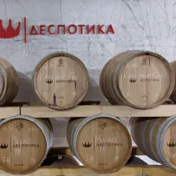 Local Winery Tours - Smederevska Palanka