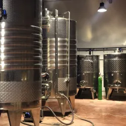 Local Winery Tours - Smederevska Palanka