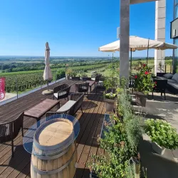 Local Winery Tours - Smederevska Palanka