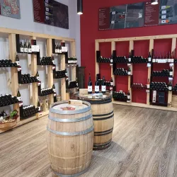Local Winery Tours - Smederevska Palanka