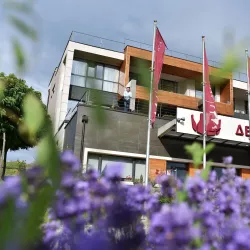 Local Winery Tours - Smederevska Palanka