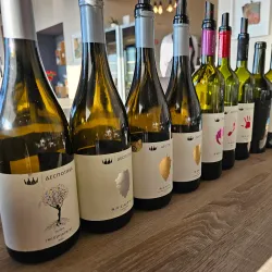 Local Winery Tours - Smederevska Palanka